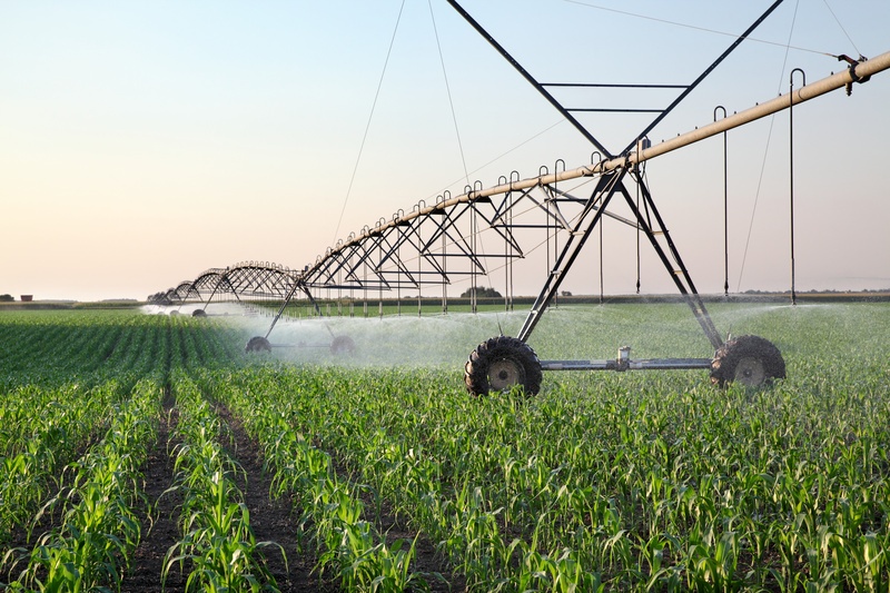 irrigation system on farm